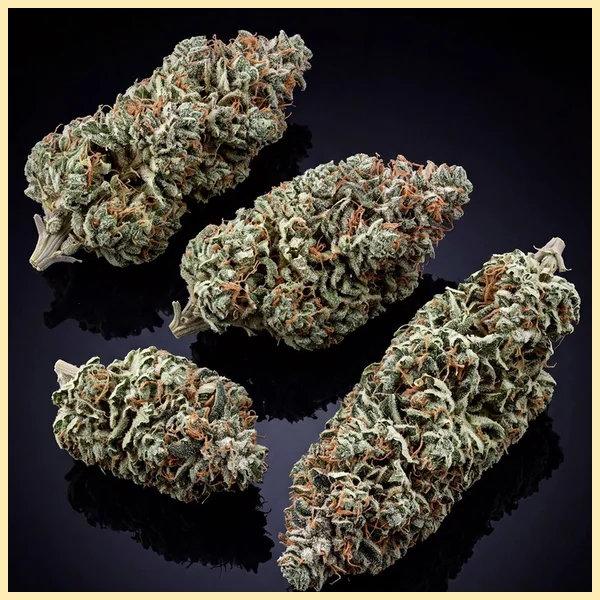 Afghan Kush x Super Skunk Feminized Seeds additional image 2