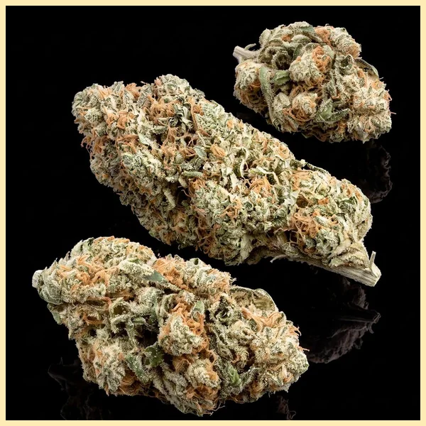 Afghan Feminized Seeds additional image 2