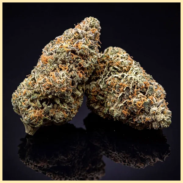 Agent Orange Feminized Seeds additional image 2