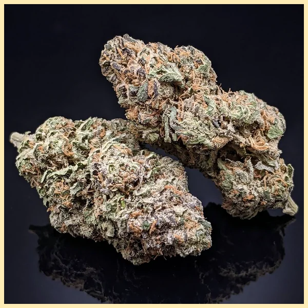 Animal Runtz Feminized Seeds additional image 2