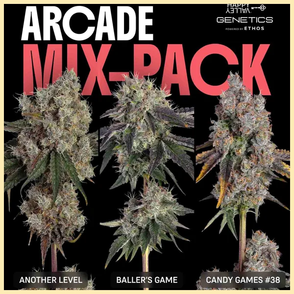 Arcade Mix Pack Weed Seeds featured image