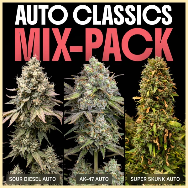 Autoflower Classics Mix Pack Seeds featured image