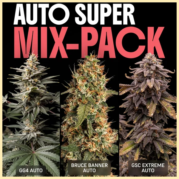 Autoflower Super Mix Pack Seeds featured image