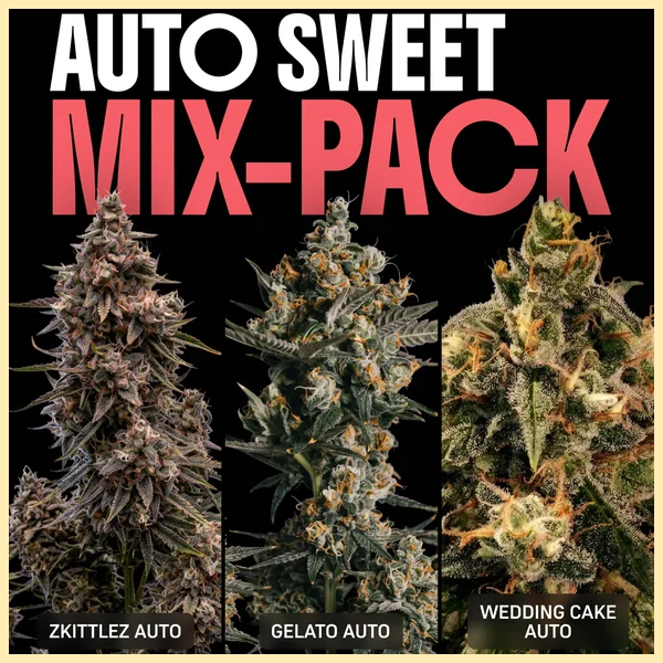 Autoflower Sweet Mix Pack Seeds featured image
