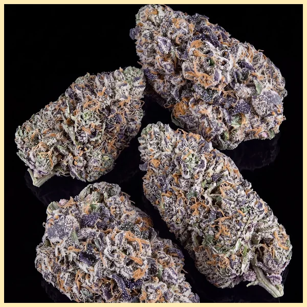 Bacio Gelato Feminized Seeds additional image 2