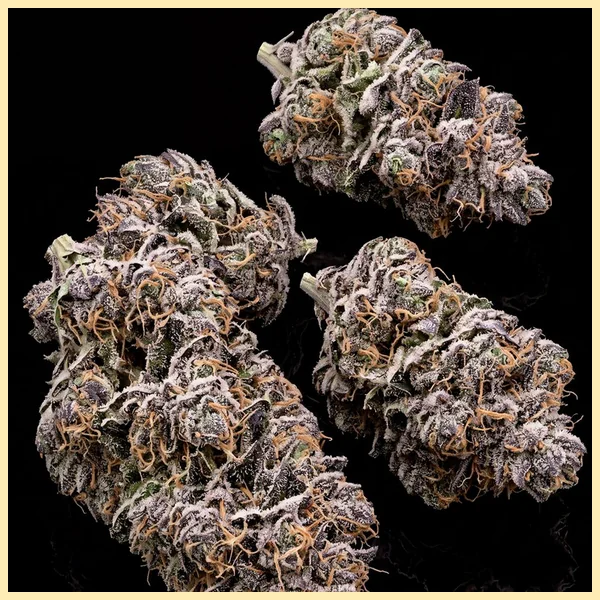 Bazooka Punch Feminized Seeds additional image 2
