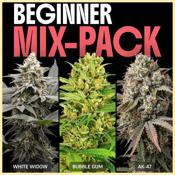 Beginner Mix Pack Weed Seeds featured image