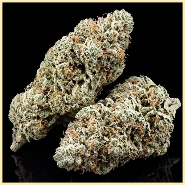 Big Bud Fast Version Feminized Seeds additional image 1