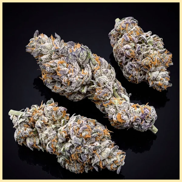 Biscotti Autoflower Seeds additional image 2