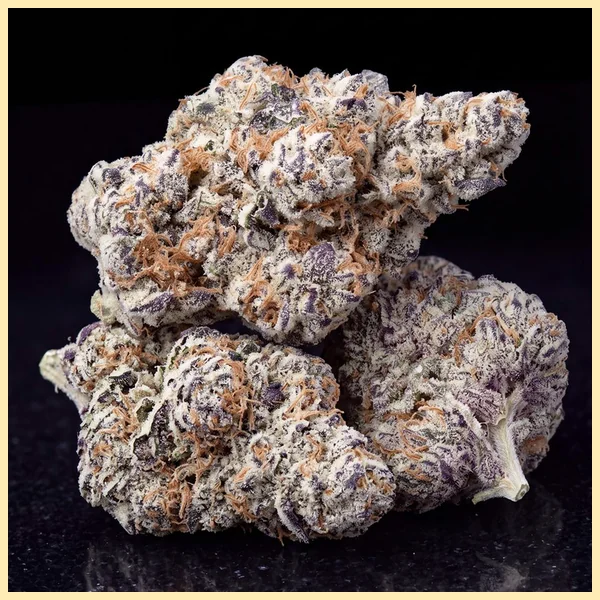 Biscotti Feminized Seeds additional image 2