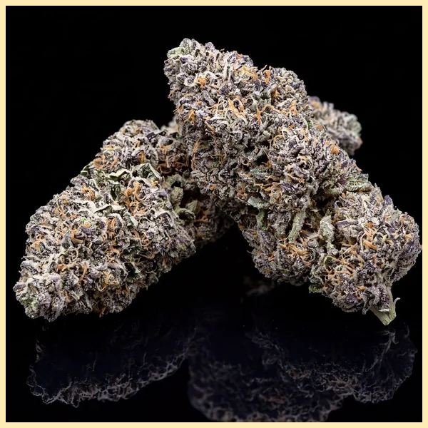 Black Diamond Feminized Seeds additional image 2