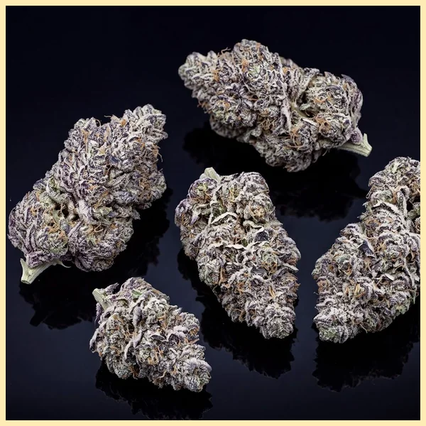 Black Frost Feminized Seeds additional image 2