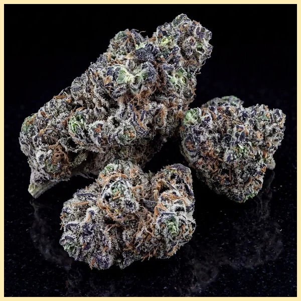 Black Widow Feminized Seeds additional image 2