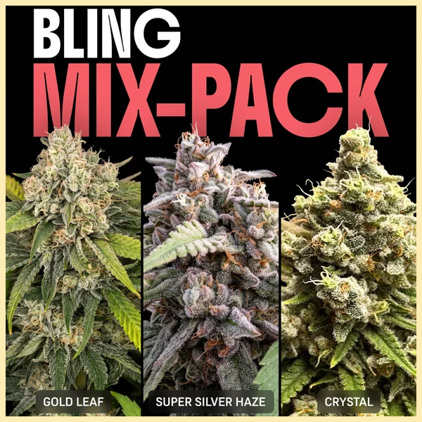 Bling Mix Pack Weed Seeds featured image