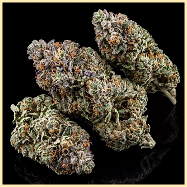 Blue Amnesia Autoflower Seeds additional image 2