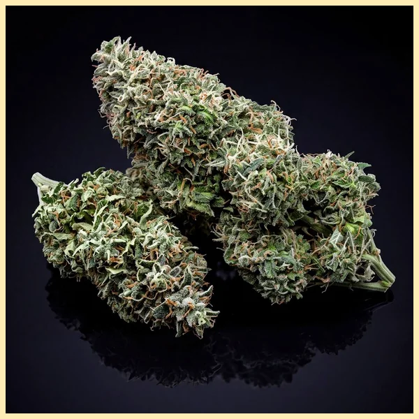 Blueberry x Big Devil Autoflower Seeds additional image 2
