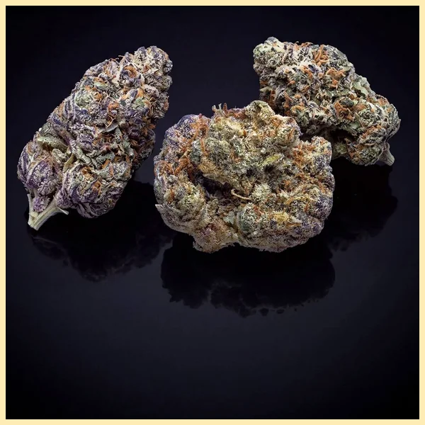 Blueberry x Jack Herer Autoflower Seeds additional image 2