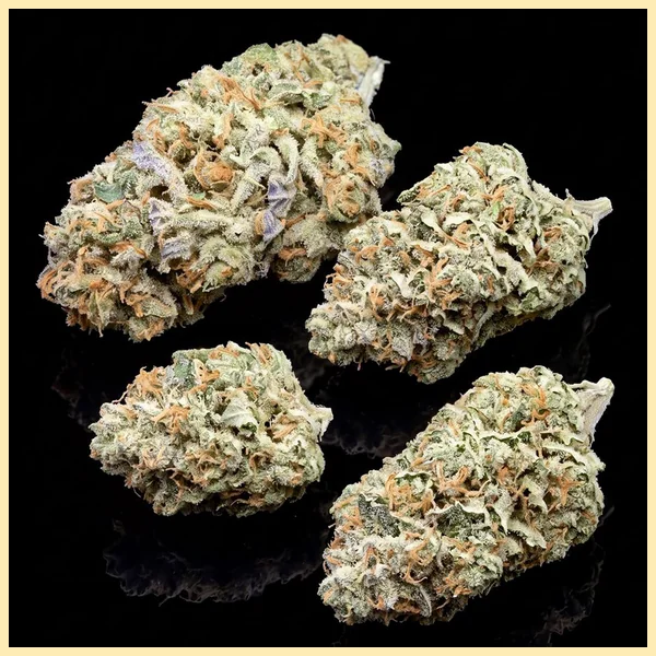 Blueberry x Lemon Haze Autoflower Seeds additional image 2