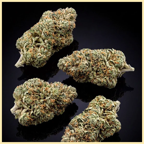 Blueberry x Mazar Autoflower Seeds additional image 2