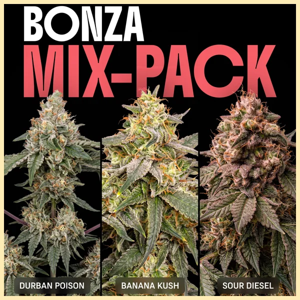 Bonza Seeds Mix Pack featured image