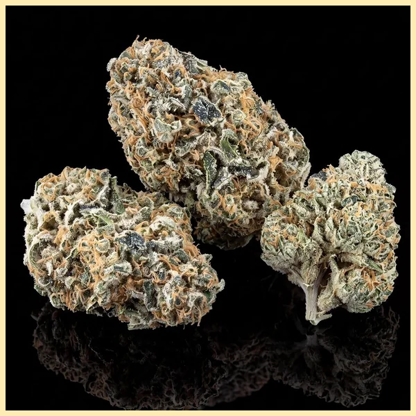 Bruce Banner Fast Version Feminized Seeds additional image 2