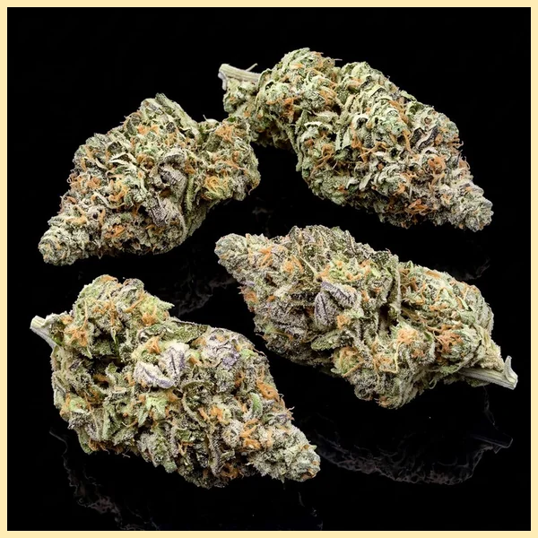 Bubba Kush Autoflower Seeds additional image 3