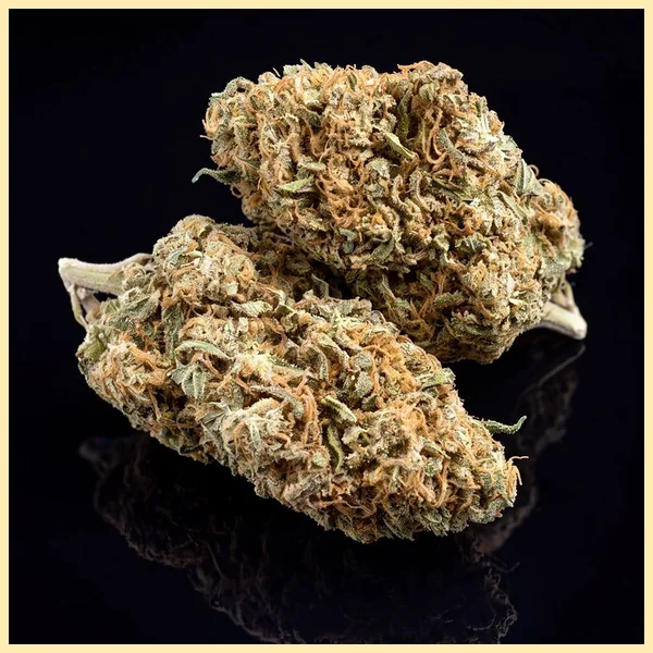 Bubble Gum Shoe Feminized Seeds additional image 2