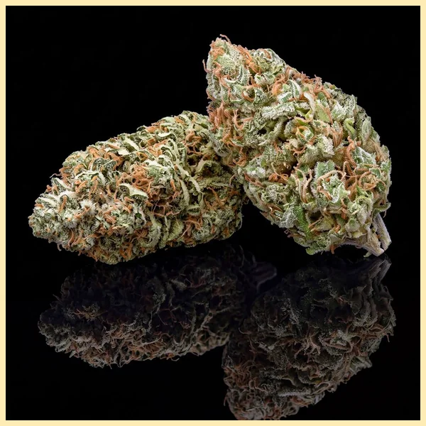 Bubblegum Feminized Seeds additional image 2