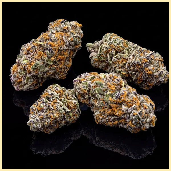 Candy Cane Autoflower Seeds additional image 3