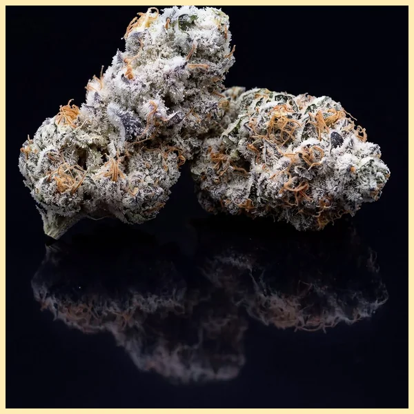 Cap Junky Feminized Seeds additional image 3