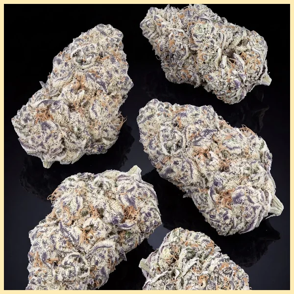 Cereal Milk Feminized Seeds additional image 2