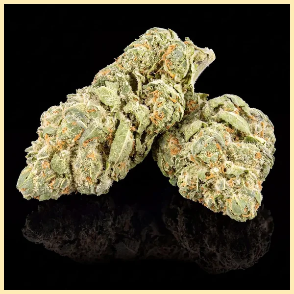 Chem '91 Feminized Seeds additional image 2