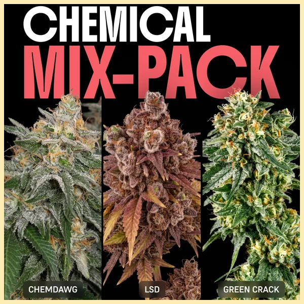 Chemical Mix Pack Weed Seeds featured image