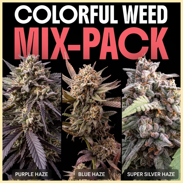 Colorful Weed Mix Pack Seeds featured image