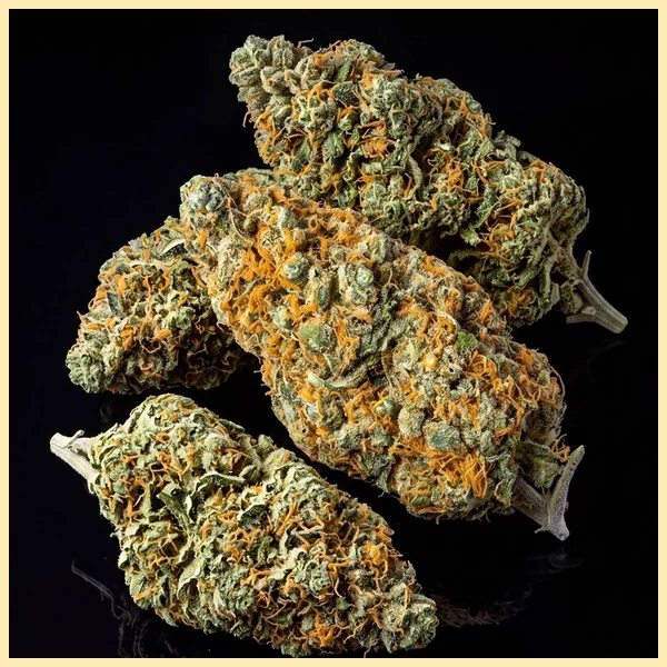 Critical Autoflower Seeds additional image 2