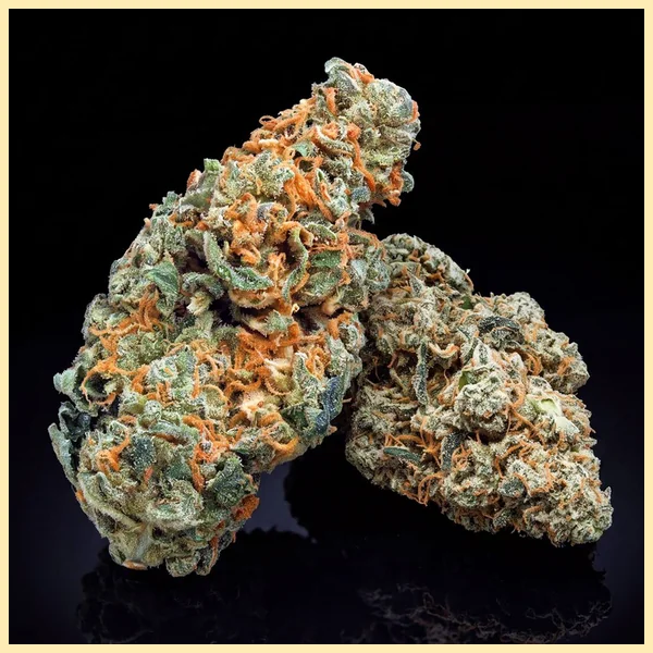 Critical Jack Feminized Seeds additional image 2