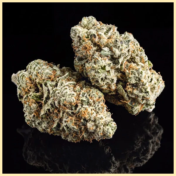 Critical x Gorilla Glue Autoflower Seeds additional image 2
