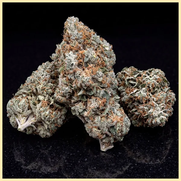 Critical x Mazar Autoflower Seeds additional image 2