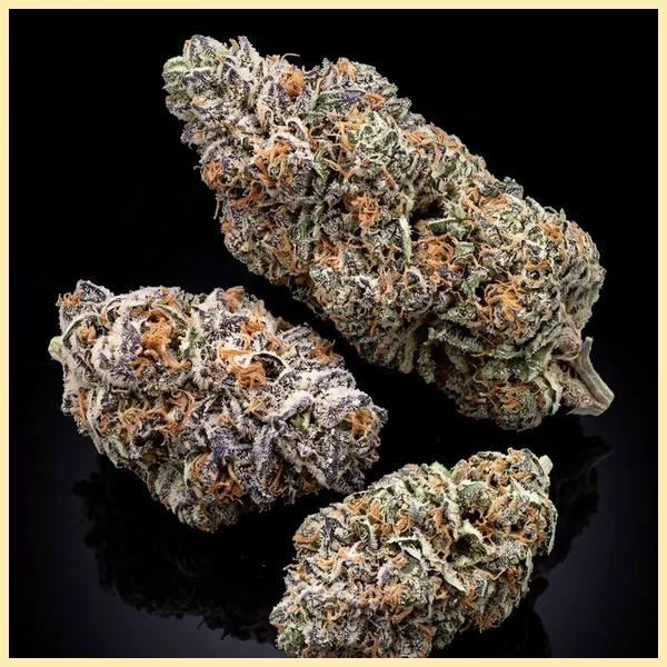 Disco Bizkit Feminized Seeds additional image 2
