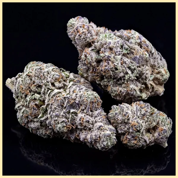Donny Burger Feminized Seeds additional image 2