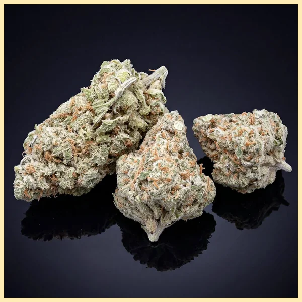 Dream Queen Feminized Seeds additional image 2