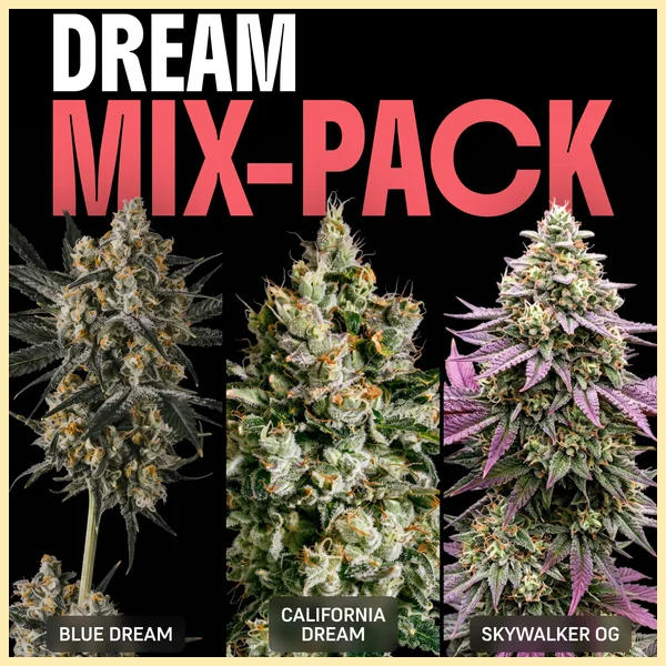 Dream Mix Pack Weed Seeds featured image