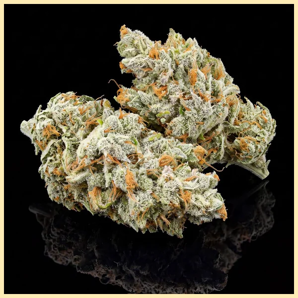 Dynasty Autoflower Seeds additional image 2