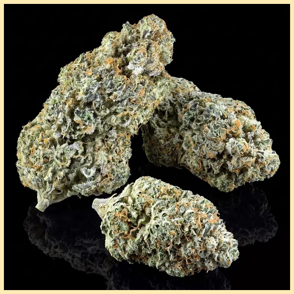 Early Girl Feminized Seeds additional image 2