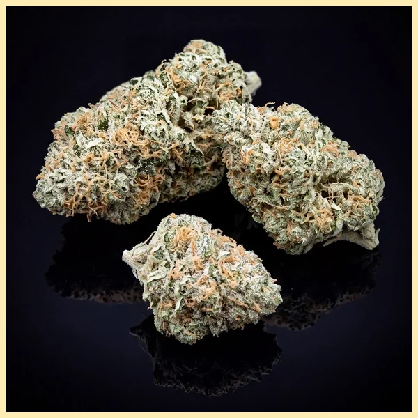 Early Skunk Feminized Seeds additional image 2