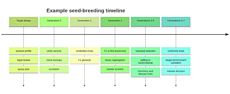 Typical cannabis breeding stabilization timeline