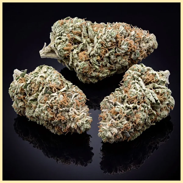 Exodus Cheese Autoflower Seeds additional image 2