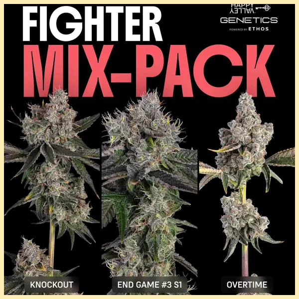 Fighter Mix Pack Weed Seeds featured image