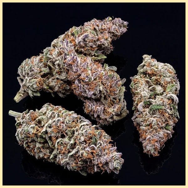 Forbidden Runtz Autoflower Seeds additional image 3
