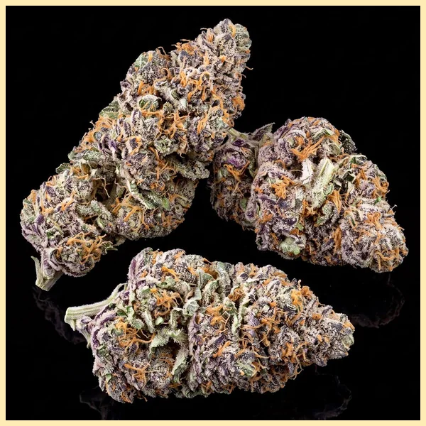 Fruit Pie Autoflower Seeds additional image 2